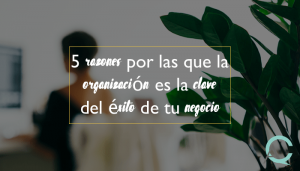 5 razones por las que la organización es la clave del éxito de tu negocio